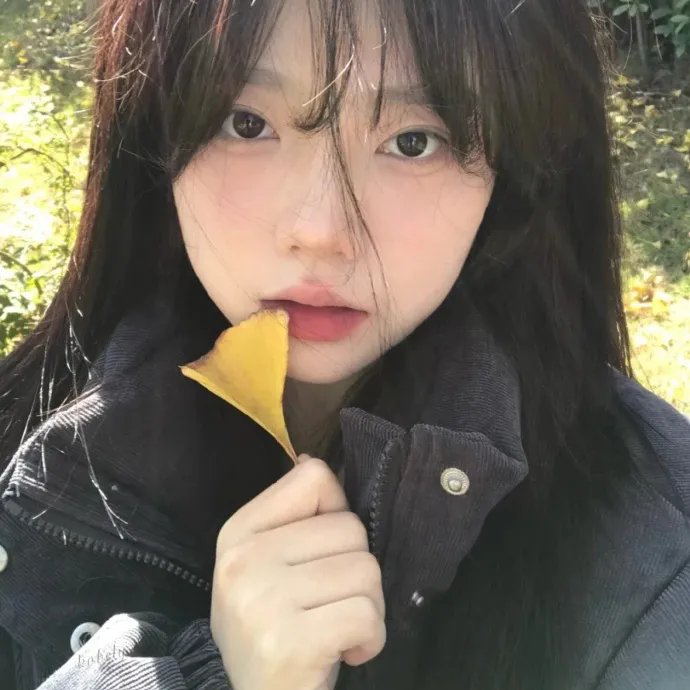 手机人生